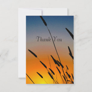 Carte De Remerciements Coucher de soleil