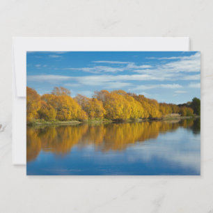 Carte De Remerciements Couleur d'automne sur la rivière Clutha
