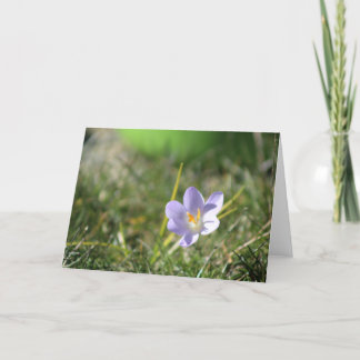 Carte De Remerciements Crocus Blank
