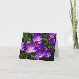 Carte De Remerciements Crocus Lilac