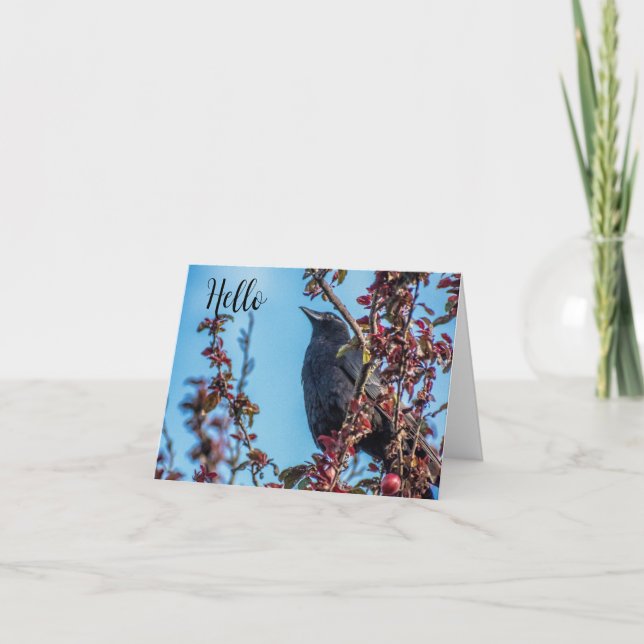 Carte De Remerciements Crow Says Hello  (Devant)
