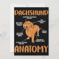 Dachshund Cute Cadeaux Wiener Doxie Amateurs