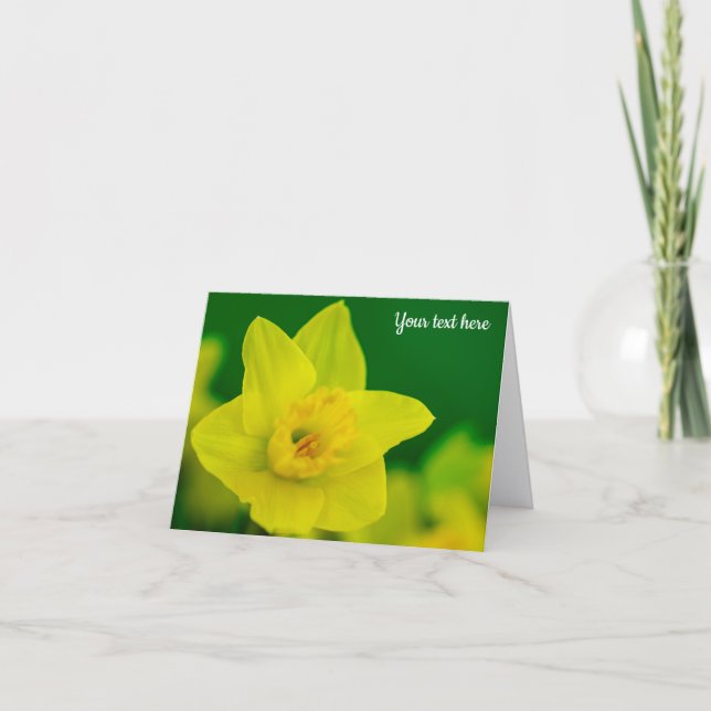 Carte De Remerciements Daffodil Greeting Card (Devant)