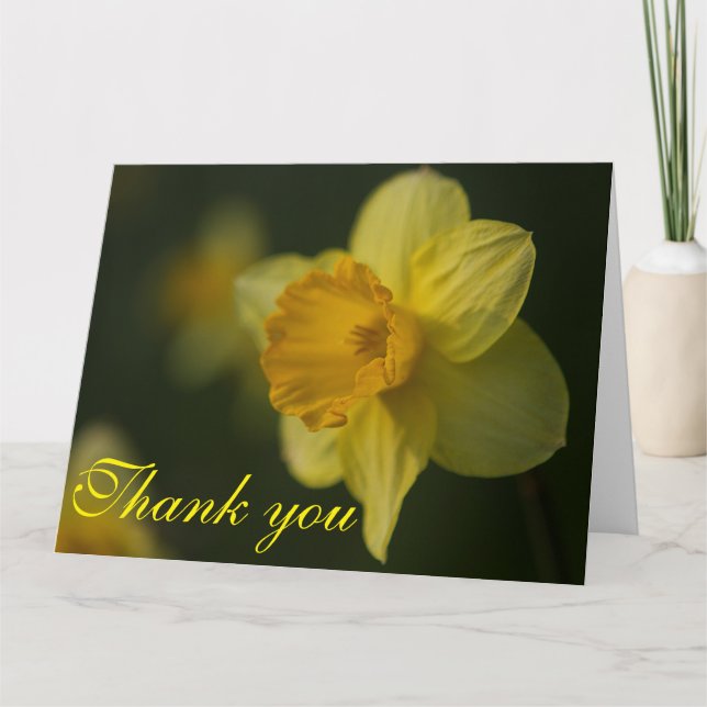 Carte De Remerciements Daffodile (Devant)