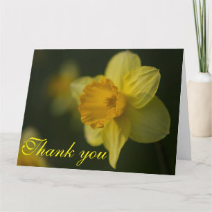 Carte De Remerciements Daffodile