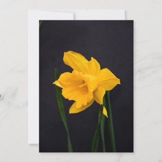 Carte De Remerciements Daffodique jaune