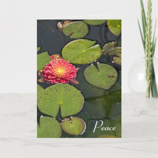 Carte De Remerciements Dahlia Flottant Avec Lily Pads Sympathie (Devant)