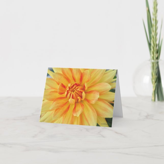 Carte De Remerciements Dahlia jaune, gros plan (Devant)