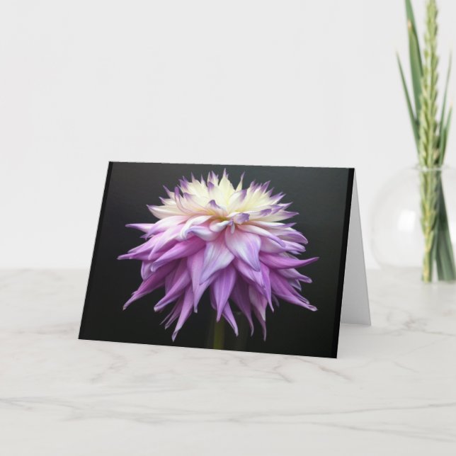 Carte De Remerciements Dahlia sublime de blanc et de pourpre de lavande (Devant)