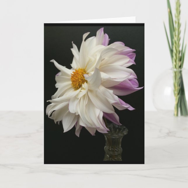 Carte De Remerciements Dahlia sublime de blanc et de pourpre de lavande (Devant)