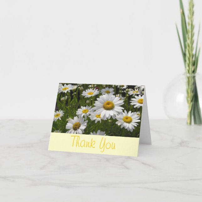 Carte De Remerciements Daisies Thank You (Devant)