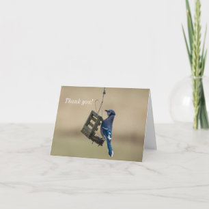 Carte de remerciements de Blue Jay