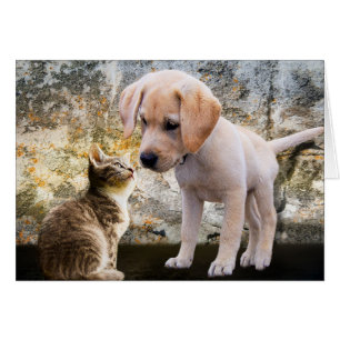 Carte de remerciements de chiot et de chaton