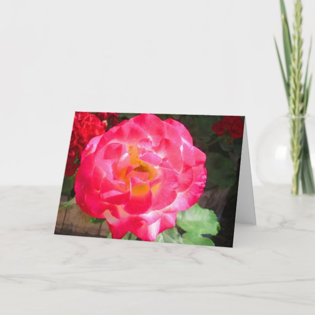 Carte de remerciements de jardin (Devant)