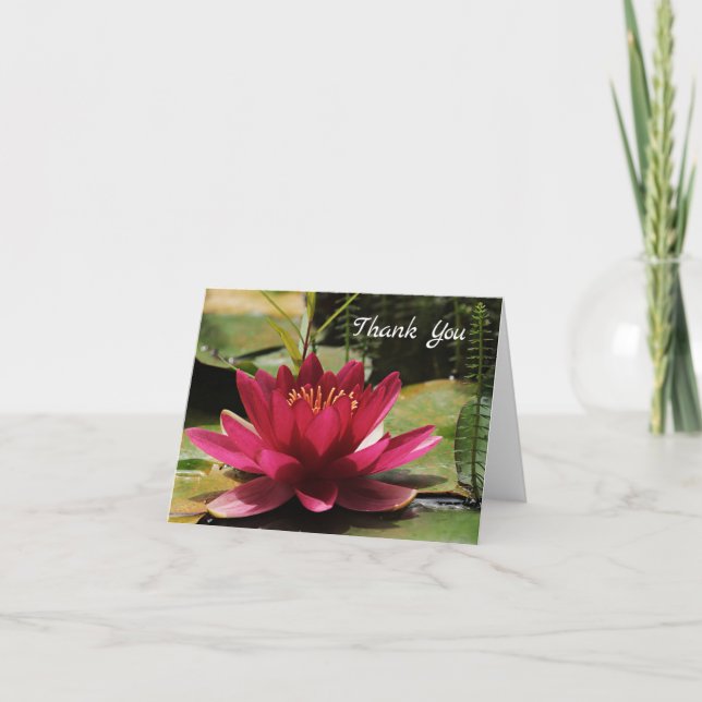 Carte de remerciements de Lily d'eau rose de Fuchs (Devant)
