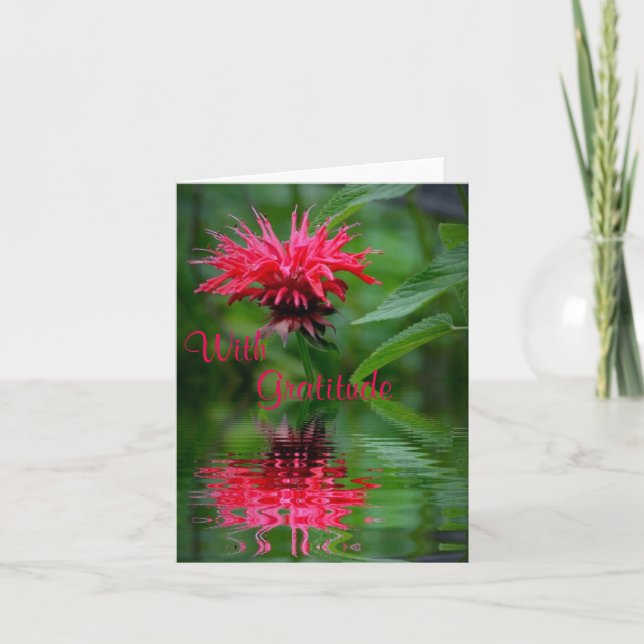 Carte de remerciements de réflexion Bee Balm (Devant)