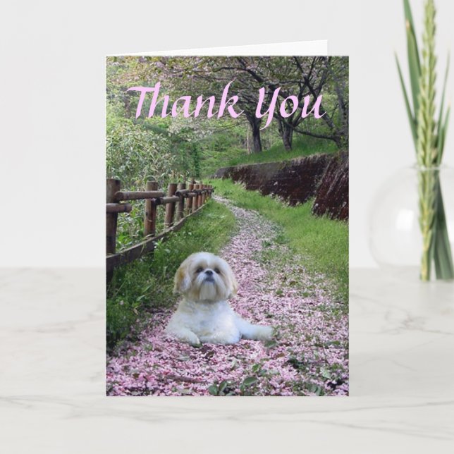 Carte de remerciements de Shih Tzu (Devant)