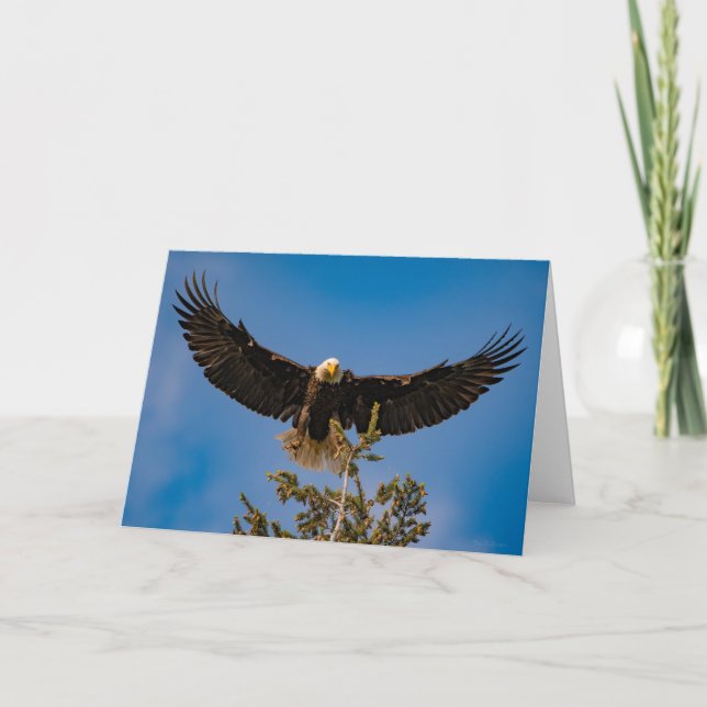 Carte de remerciements des ailes d'aigle (Devant)