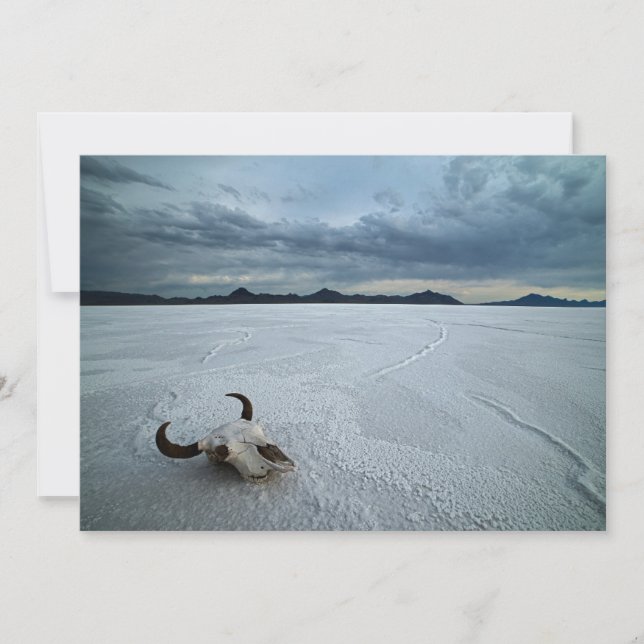 Carte De Remerciements Deserts | Bonneville Salt Flats Utah (Devant)