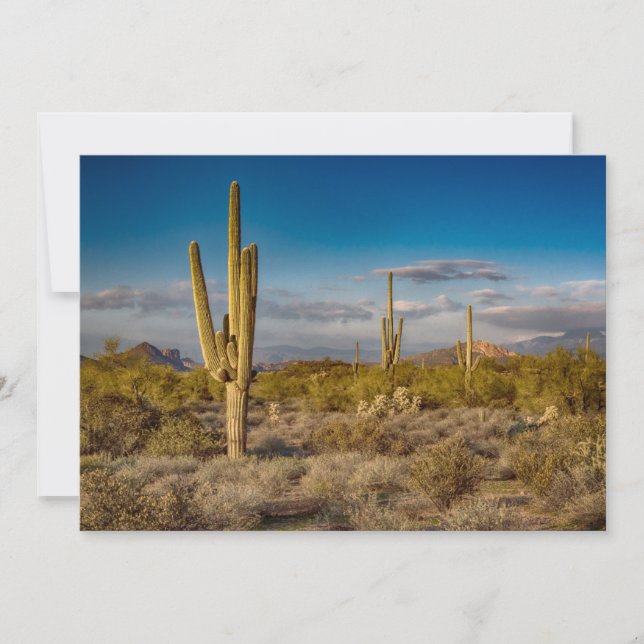Carte De Remerciements Deserts | Superstition Mountains, Arizona (Devant)