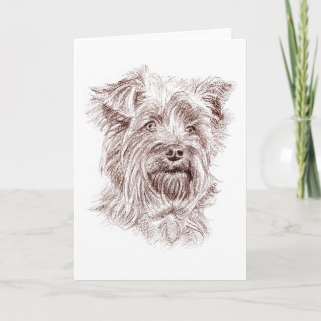 Carte De Remerciements Dessin Yorkshire Terrier (Devant)