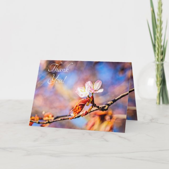 Carte De Remerciements Deux Fleurs Extraordinaires Sakura. Rose, Arrière  (Devant)