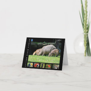 Carte De Remerciements Divers animaux d'Amérique du Sud