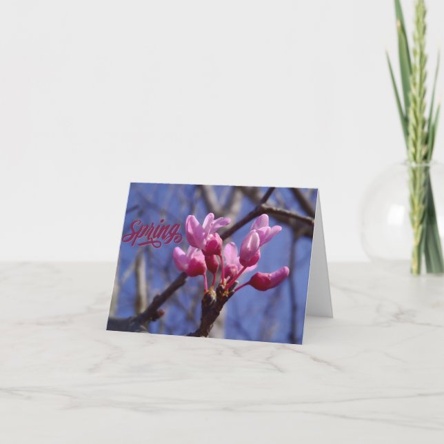 Carte De Remerciements Dogwood Blossom Blank Greeting Card (Devant)