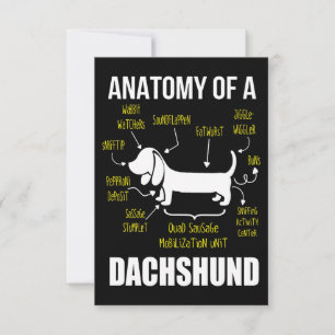 Carte De Remerciements Don de chien   Anatomie De Dachshund