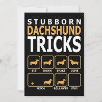 Don de chien| Trucs de Dachshund têtus
