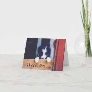 Carte De Remerciements Doux chiot Border Collie