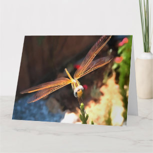 Carte De Remerciements Dragonfly With Sunlight Gilded Wings