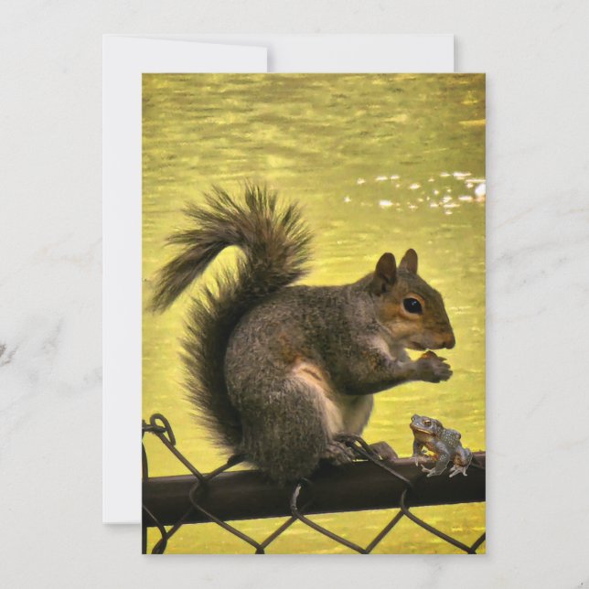 Carte De Remerciements Écureuil gris de l'Est (Sciurus carolinensis)  (Devant)