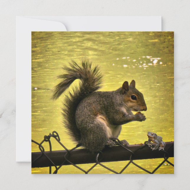 Carte De Remerciements Écureuil gris de l'Est (Sciurus carolinensis)  (Devant)