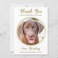 Elegant Chic Gold Custom Pet Photo Chien Mariage