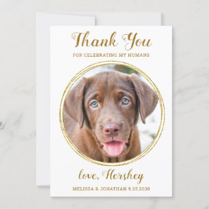 Carte De Remerciements Elegant Chic Gold Custom Pet Photo Chien Mariage