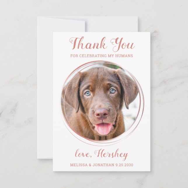 Carte De Remerciements Elégant Rose Gold Custom Chien Photo Animal Mariag (Devant)