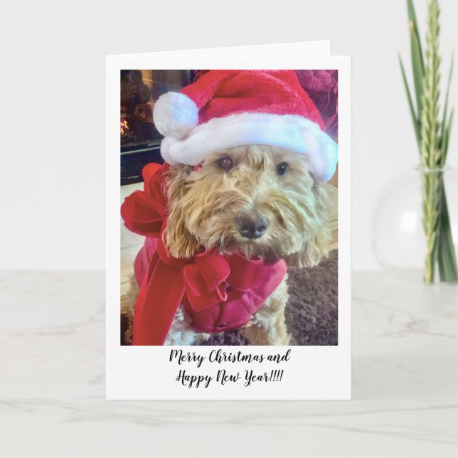 Carte De Remerciements Ella Bella Banana Père Noël (Devant)