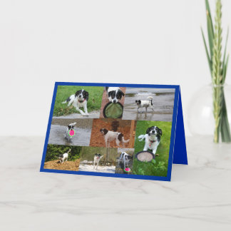 Carte De Remerciements Emily