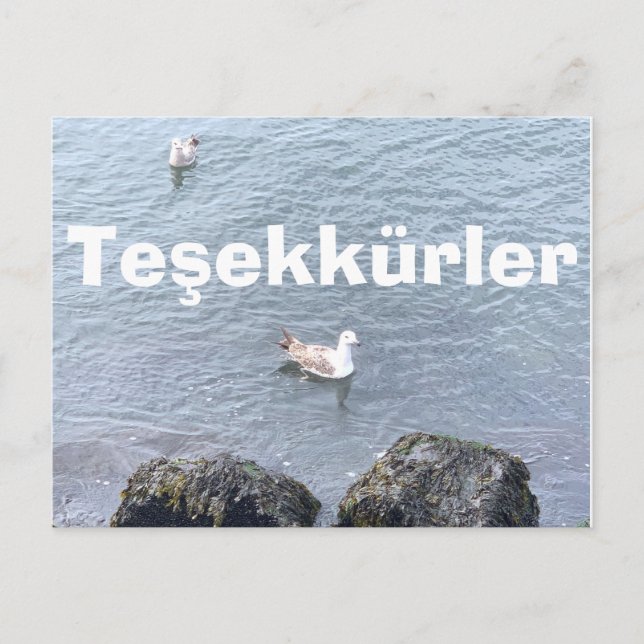 CARTE DE REMERCIEMENTS EN TURQUE (Devant)