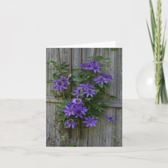 Carte De Remerciements Escalade Clematis sur la clôture (Devant)