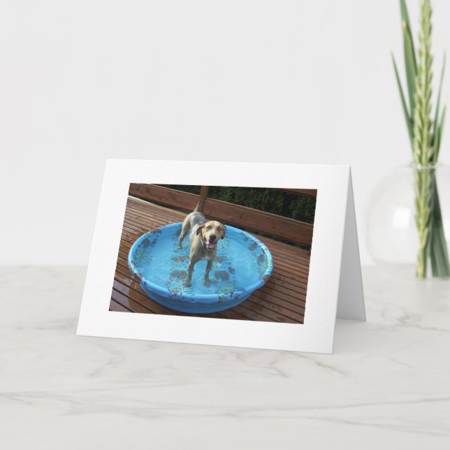 Carte De Remerciements Est-ce que je suis beau ou ce qui ? (Devant)