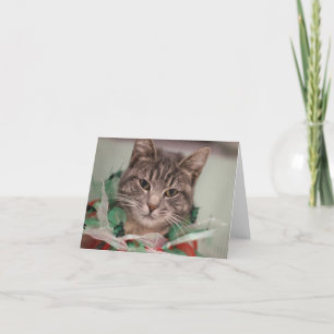 Carte De Remerciements FAMD Christmas Cat