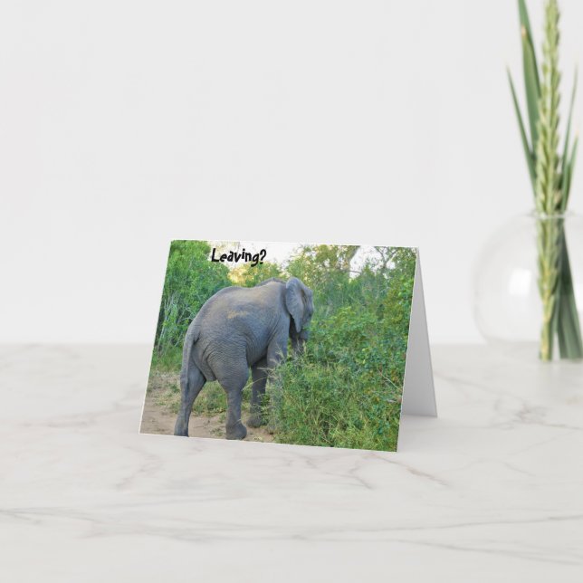 Carte De Remerciements Farewell South Africa Elephant Card (Devant)