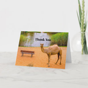 Carte De Remerciements Faune Camel Oasis Photo