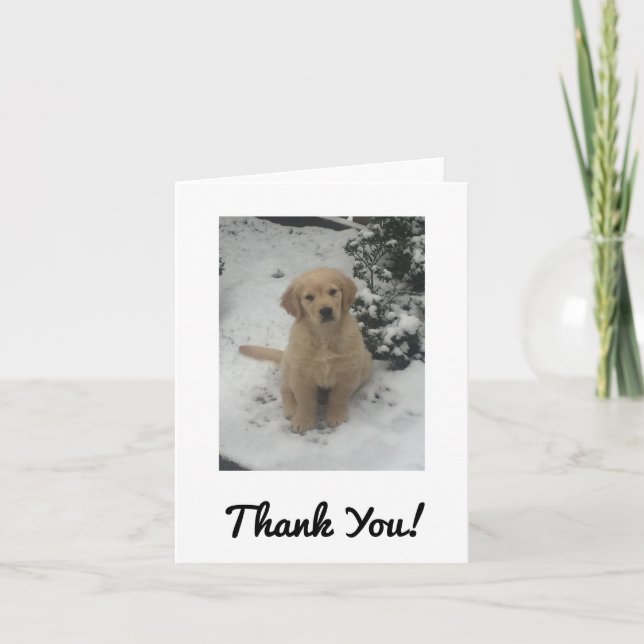 Carte de remerciements - Festive Golden Retriever. (Devant)