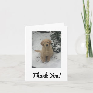 Carte de remerciements - Festive Golden Retriever.
