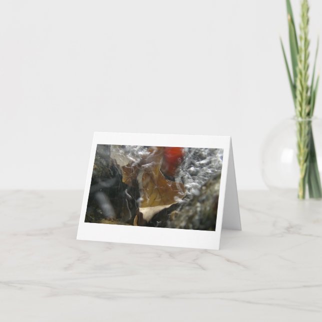 Carte De Remerciements feuille d'automne piégée dans une cascade (Devant)