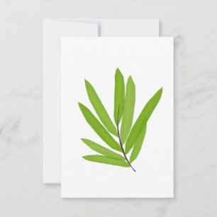 Carte De Remerciements Feuille en bambou