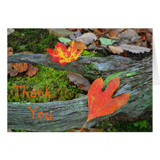Carte de remerciements Feuilles d'automne (Devant horizontal)